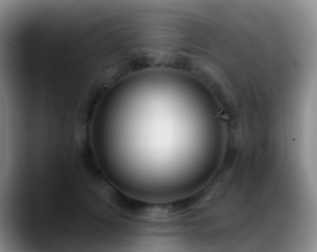 X0000088890756200706151829