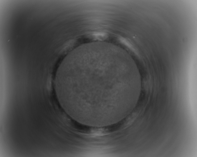 X0000088890757200706151829