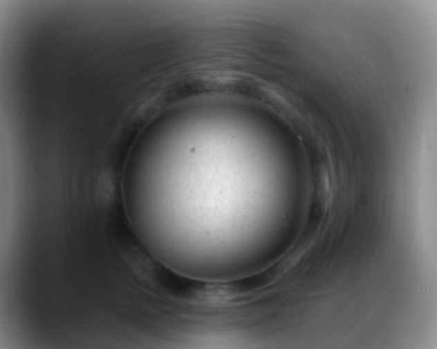 X0000088890758200706151829