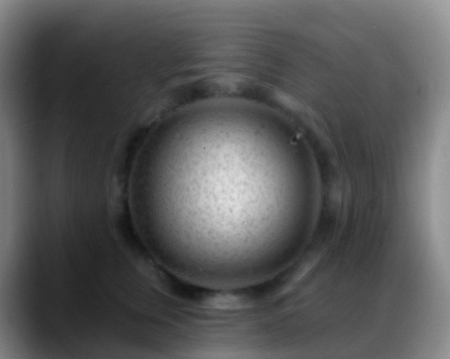 X0000088890759200706151829