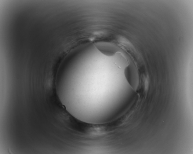 X0000088890760200706151829