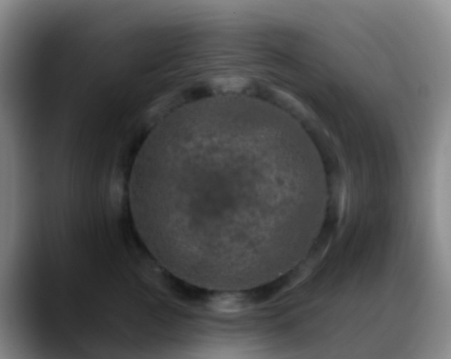 X0000088890761200706151829