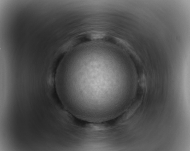 X0000088890763200706151829