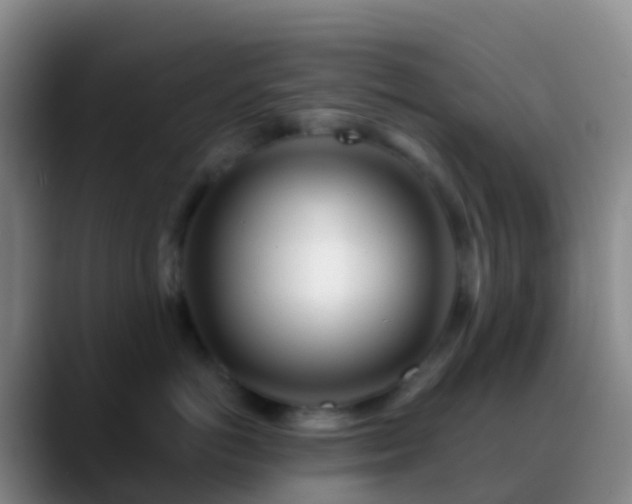 X0000088890766200706151829