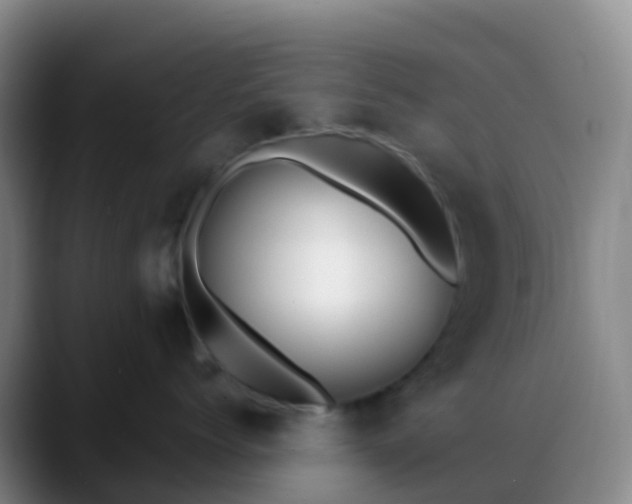 X0000088890768200706151829