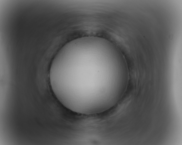 X0000088890769200706151829