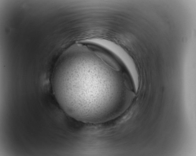 X0000088890771200706151829