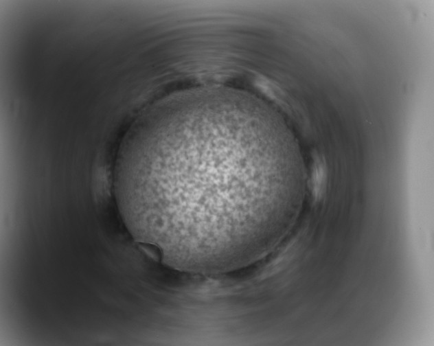 X0000088890772200706151829