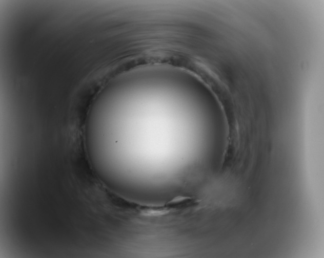 X0000088890773200706151829