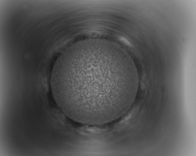 X0000088890774200706151829