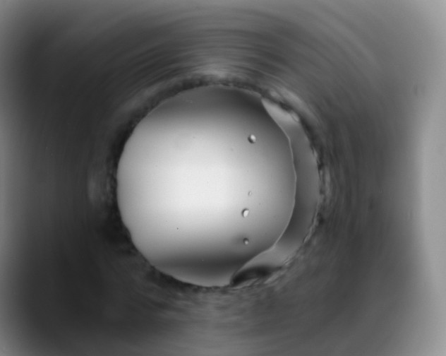 X0000088890776200706151829