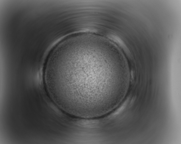 X0000088890780200706151829