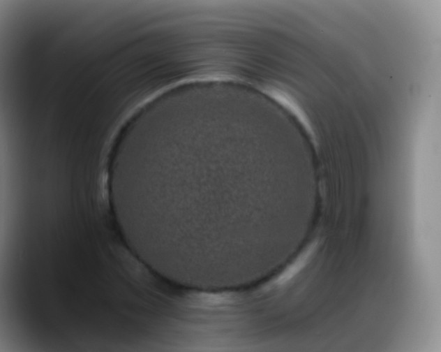 X0000088890781200706151829