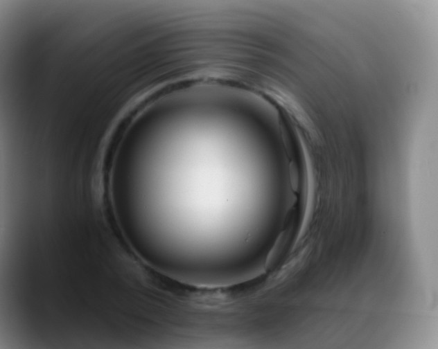 X0000088890784200706151829