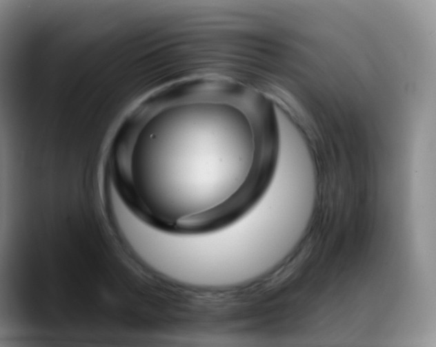 X0000088890788200706151829