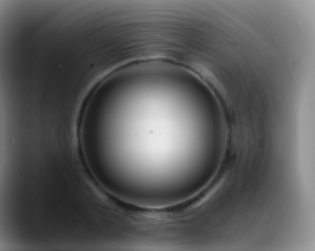 X0000088890789200706151829