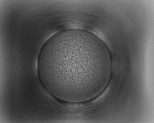 X0000088890790200706151829