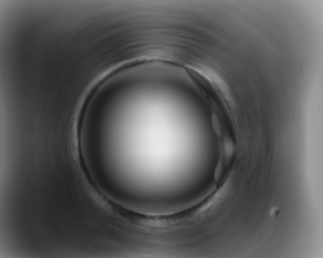 X0000088890792200706151829