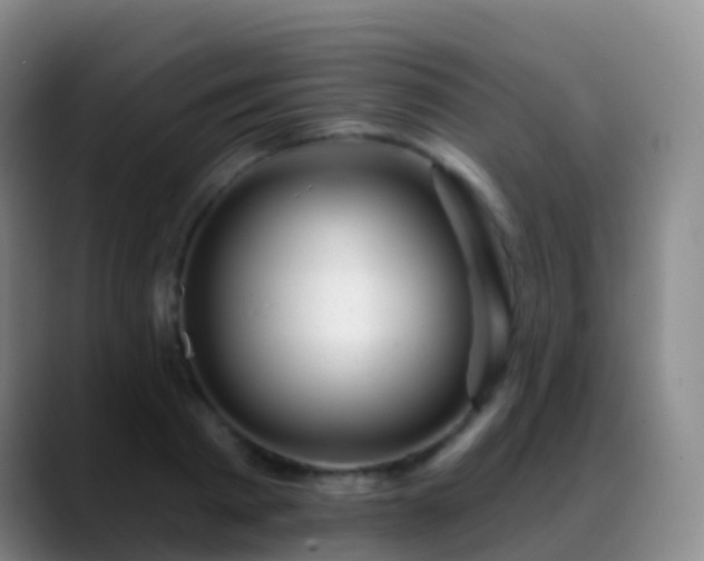 X0000088890793200706151829