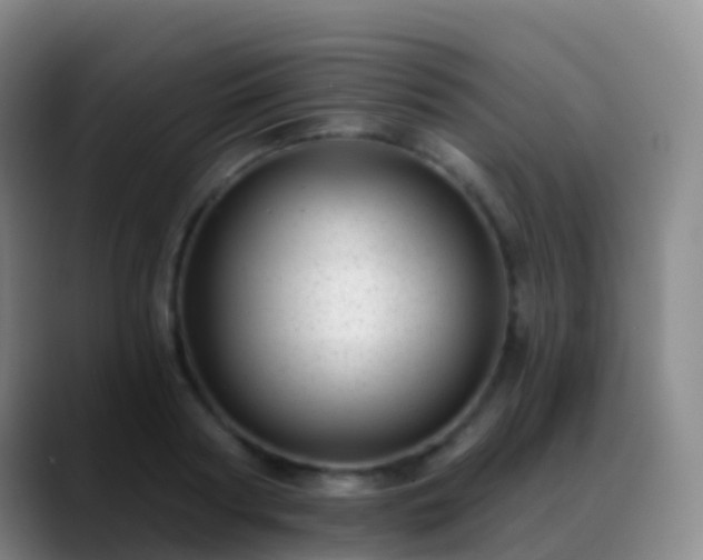 X0000088890794200706151829