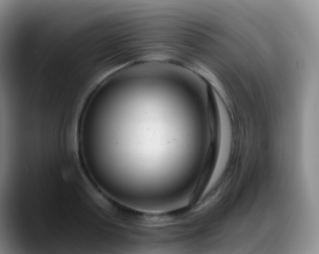 X0000088890795200706151829