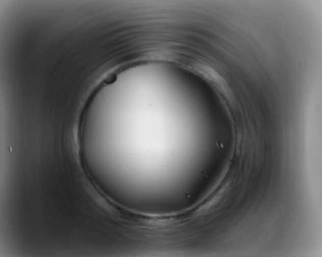 X0000088890796200706151829