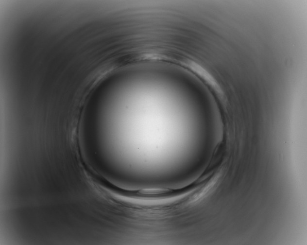 X0000088890801200706151828