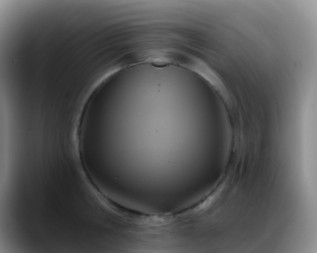 X0000088890806200706151828