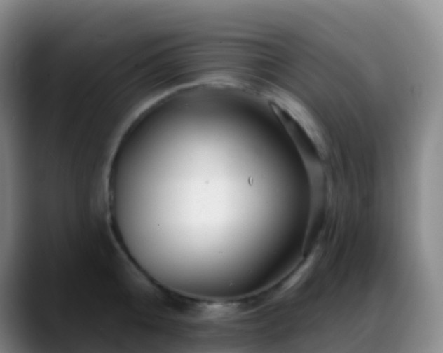 X0000088890808200706151828