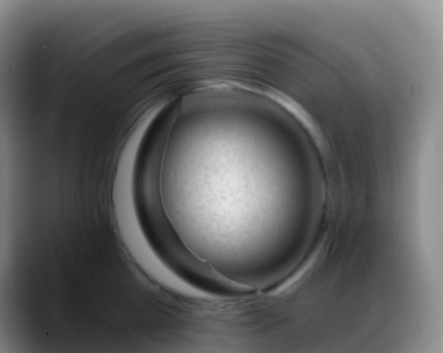 X0000088890809200706151828