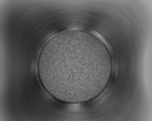 X0000088890810200706151828