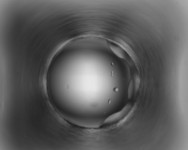 X0000088890812200706151828