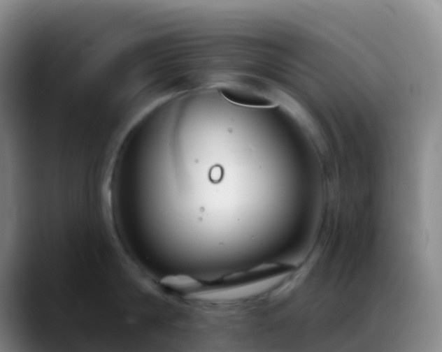 X0000088890814200706151828