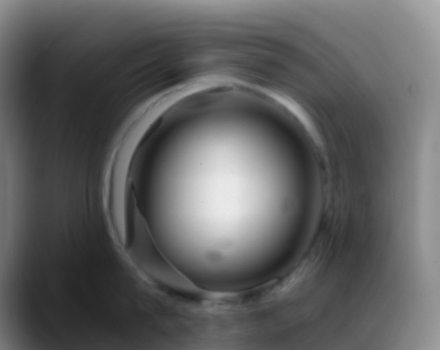 X0000088890815200706151828