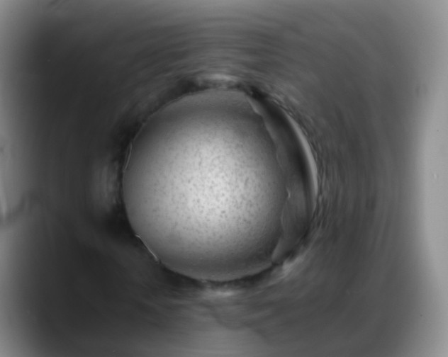 X0000088890818200706151828