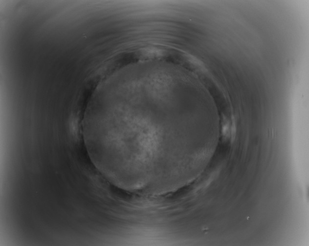 X0000088890819200706151828