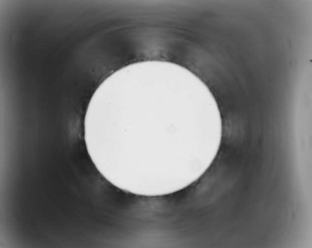 X0000088890820200706151828