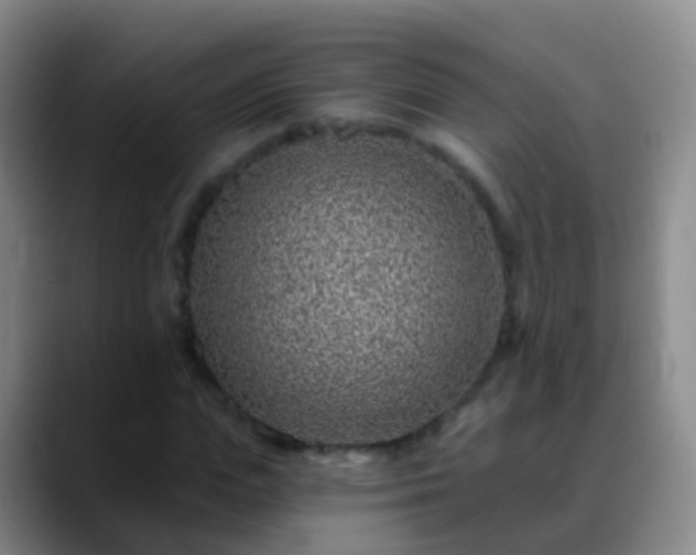 X0000088890823200706151828