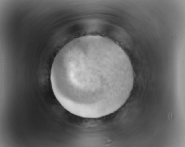 X0000088890824200706151828