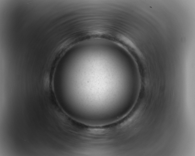 X0000088890825200706151828