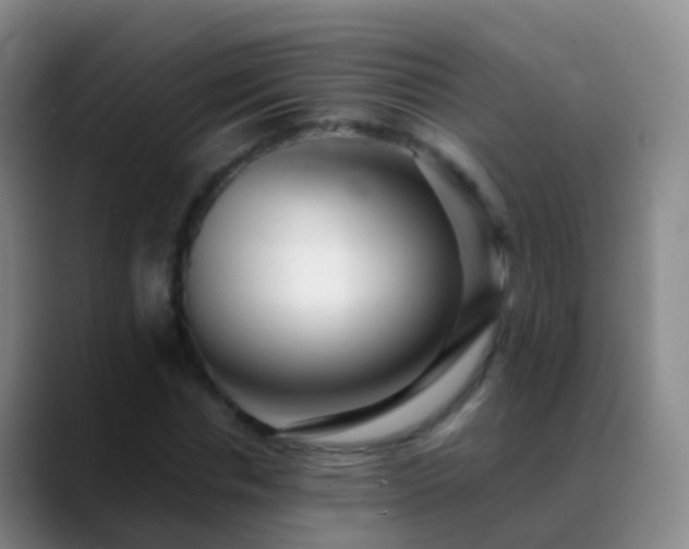 X0000088890826200706151828