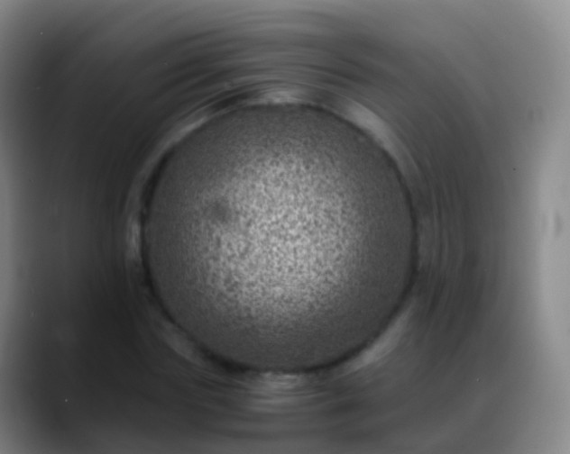 X0000088890827200706151828