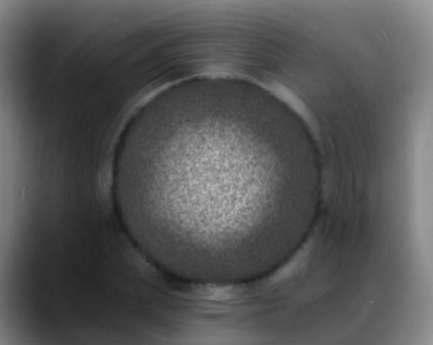 X0000088890831200706151828