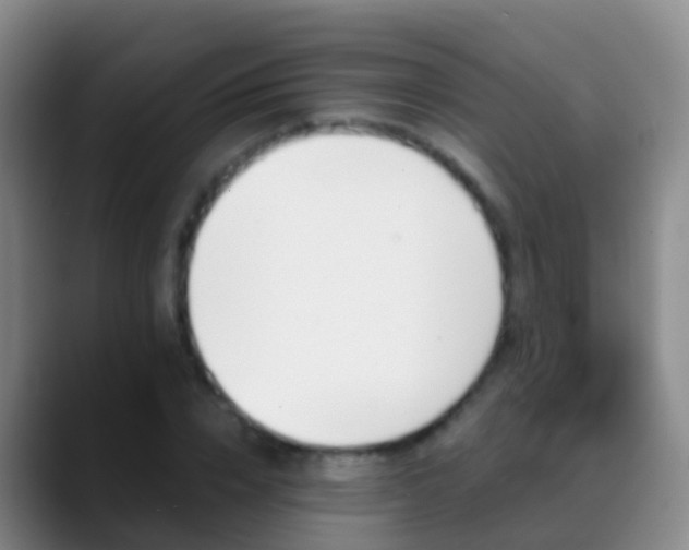 X0000088890832200706151828