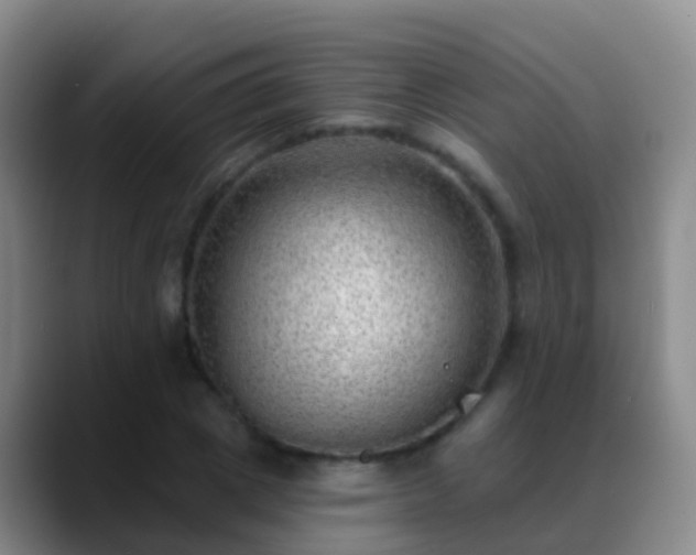 X0000088890833200706151828