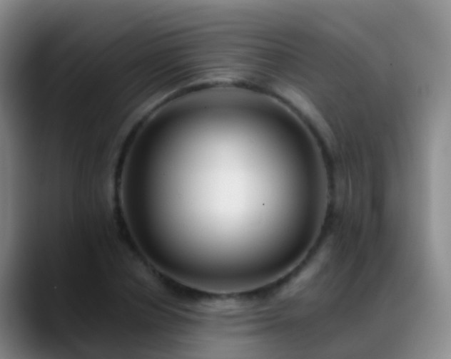 X0000088890834200706151828