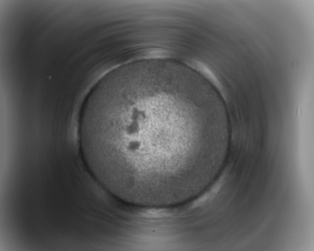 X0000088890835200706151828