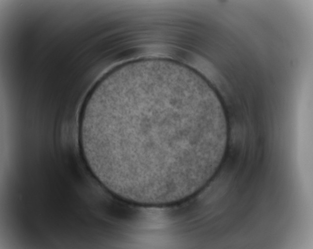 X0000088890836200706151828