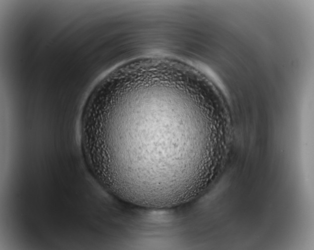 X0000088890839200706151828