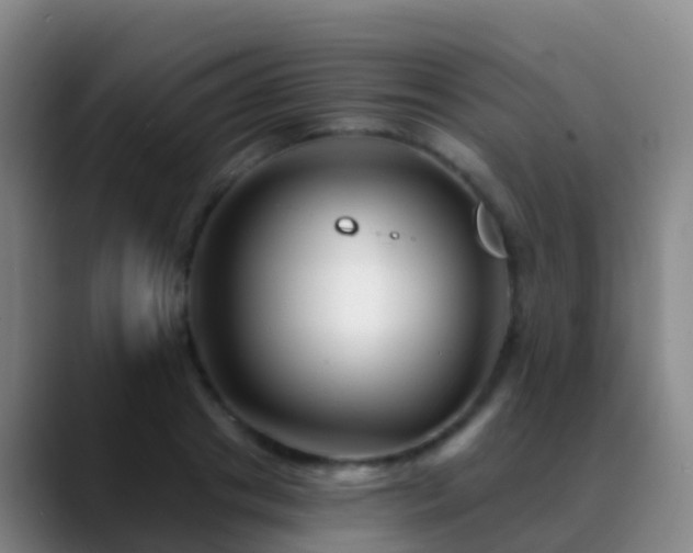 X0000088890841200706151828